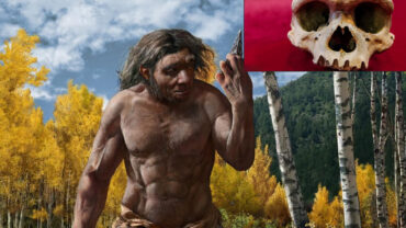 The Dragon Man Fossil Could Replace Neanderthals As Our Closest Relative