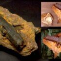 The London Hammer – A 400 million years old intriguing OOPArt!