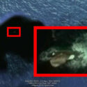 Did N.O.A.A Confirm The Existence Of Sea Monsters