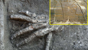 3600 Year Old Pits Full Of Giant Hands Discovered In Egypt Archaeologists Discovered