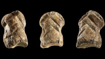 A 51,000 Year Old Carved Bone Is One Of The World’s Oldest Works Of Art