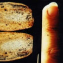The Mystery Of The 100 Million Years Old Fossilized Human Finger