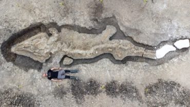 Giant 180 million-year-old ‘sea dragon’ fossil found in UK reservoir