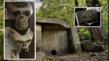Two “Alien” Skulls Discovered In Russia, A Secret Nazi Institution And The Search For The Origin Of Mankind