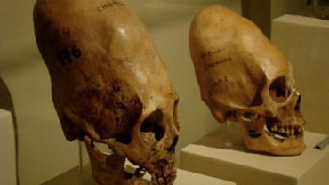 DNA Tests Reveal That Paracas Skulls Are Not Human