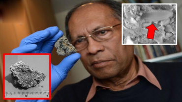 “Alien Life-Form” Discovered Within Sri Lankan Meteorite?