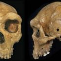 The Enigma of Prehistoric Skulls with Bullet-Like Holes