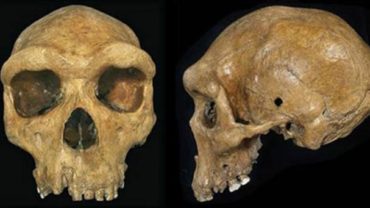 The Enigma of Prehistoric Skulls with Bullet-Like Holes