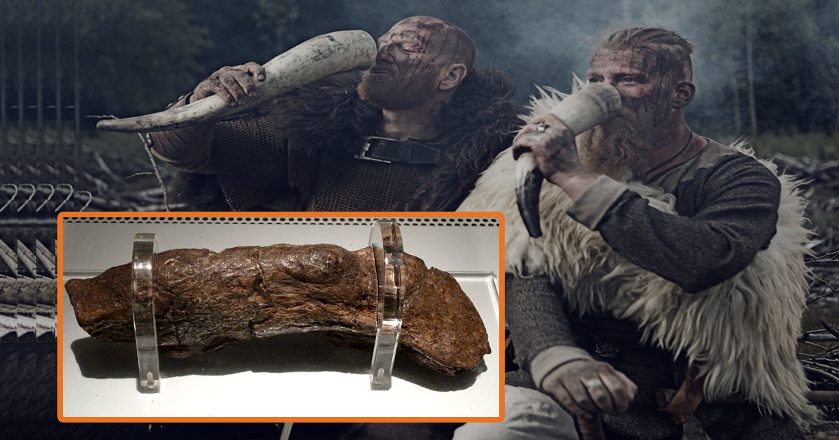 This Is The Largest Fossilized Human Turd Ever Discovered Ancient