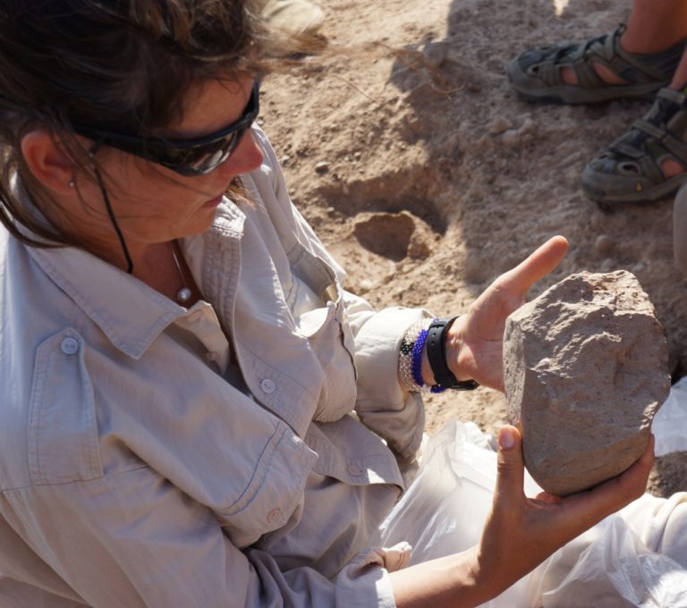 Tools That Predate The First Humans A Mysterious Archaeological