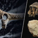 Tools That Predate The First Humans – A Mysterious Archaeological Discovery