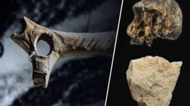 Tools That Predate The First Humans – A Mysterious Archaeological Discovery