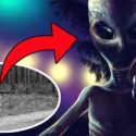 Mysterious UFO Sightings Over Alaska: ET Base At Mount Hayes & Alien Photograph From 1930