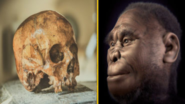 Previously Unknown Human Relative Found On Philippine Island