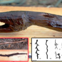 Stone Age Wooden Snake ‘Staff’ Found In Finland