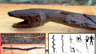 Stone Age Wooden Snake ‘Staff’ Found In Finland