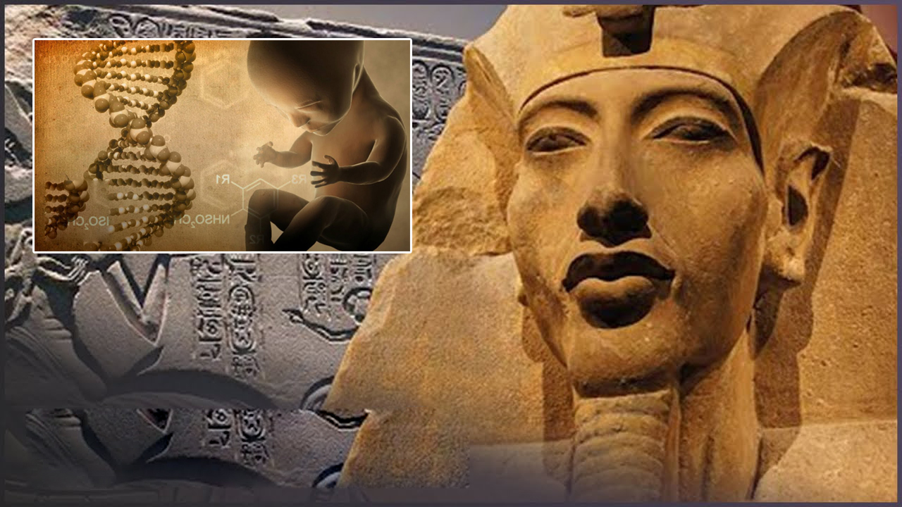 Abnormality In Egyptian Pharaoh DNA Was He An Alien Hybrid? Ancient