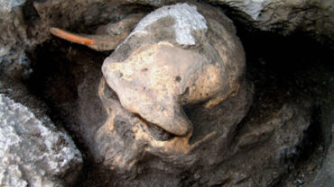 A Million-Year-Old Human Skull Has Prompted Scientists To Reconsider Early Human Evolution