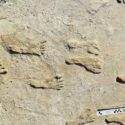 Oldest Human Footprints in North America Found in New Mexico