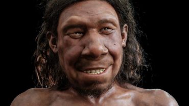 Face Of 50,000-Year-Old ‘Krijn’ Reconstructed From Neanderthal Skulls