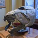 Dunkleosteus: One Of The Largest And Fiercest Sharks 380 Million Years Ago