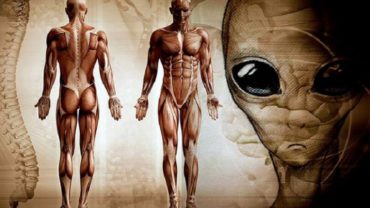 There Is Evidence That Modern Humans Are Not From Earth