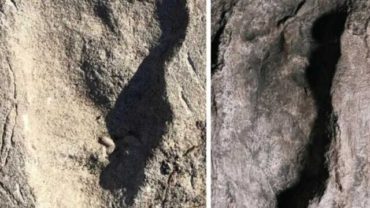 Laetoli Footprints: Who Left These Traces In Tanzania 3.6 Million Years Ago?