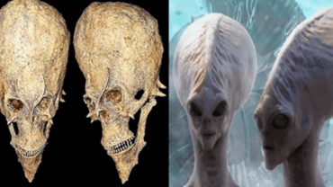They Found An Alien Skull In Nigeria Africa – This Could Change The History As We Know It