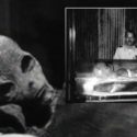 Frances Egyptologist Discovered An “Alien Mummy” In A Secret Chamber of The Great Pyramid