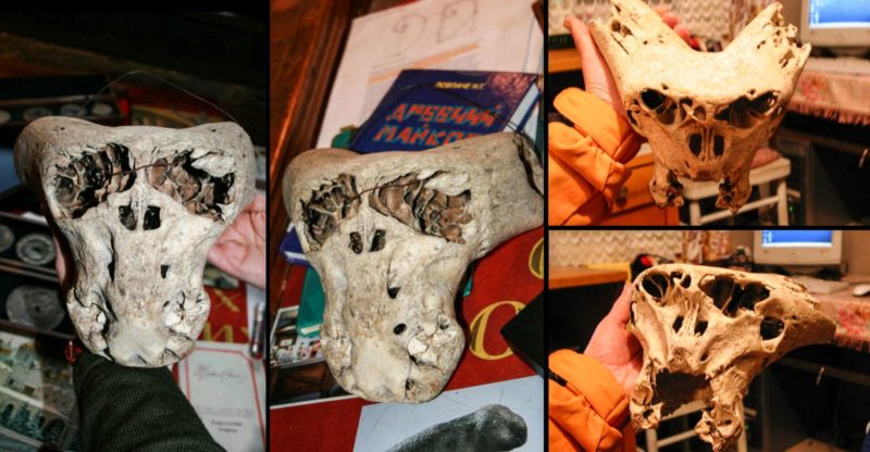 Bolshoi Tjach Skulls – the two mysterious skulls discovered in an ancient mountain cave in Russia