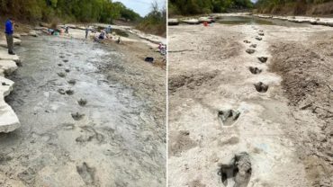 Extreme drought in Texas revealed 110-million-year-old dinosaur tracks