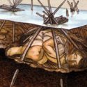 The Windover bog bodies, among the strangest archaeological finds ever Unearthed in North America