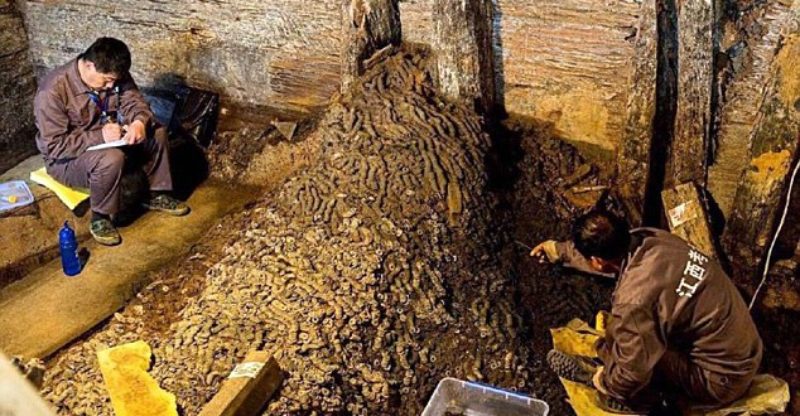 10 Tons of Copper Coins unearthed in 2,000 years old Ancient Tomb